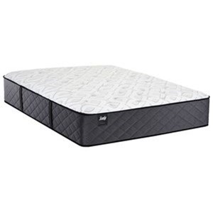 Sealy surrey lane plush euro pillowtop hotsell
